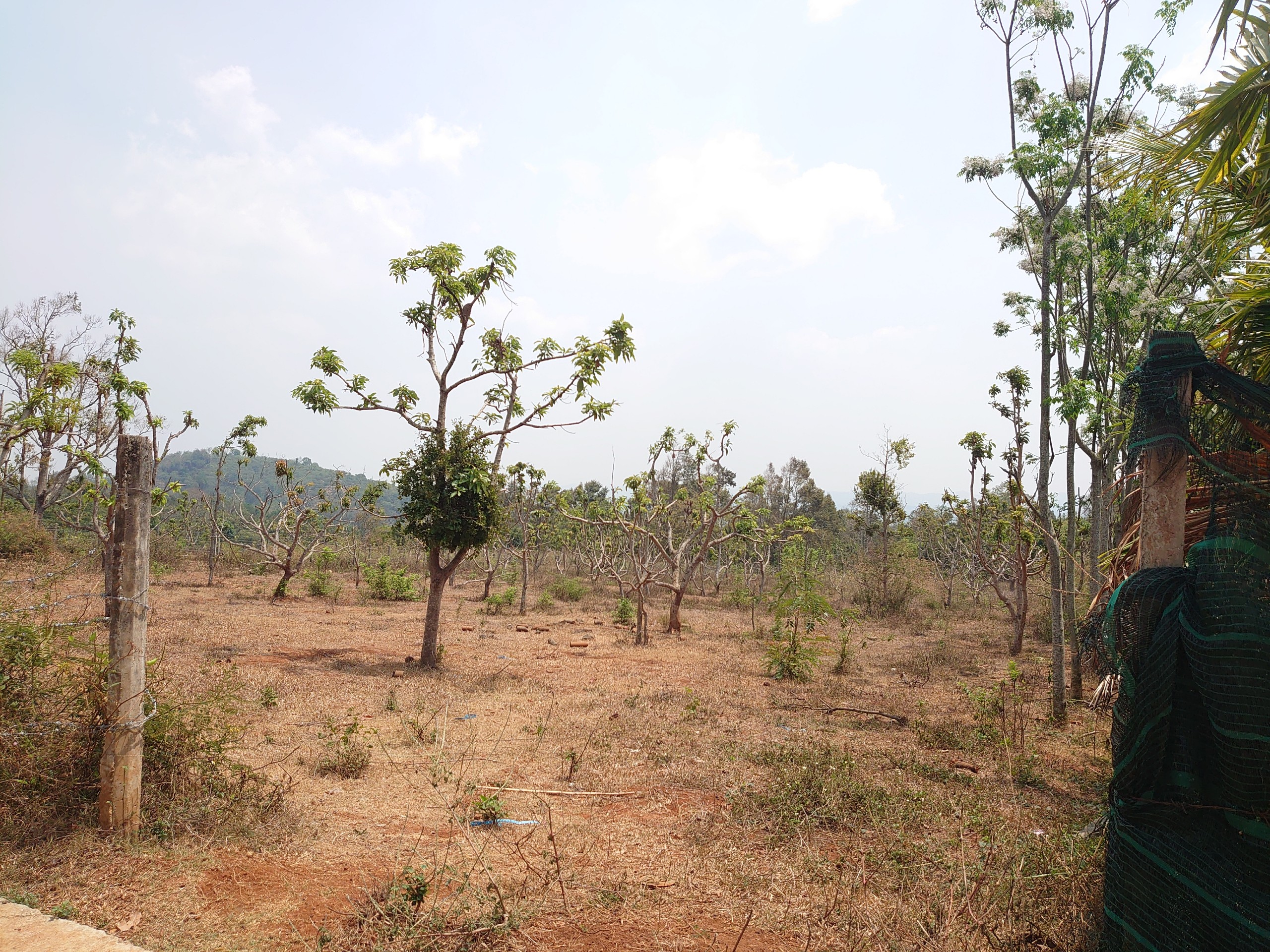 Bán đất nền khu EaNao Nguyễn Xuân Nguyên quy hoạch ONT 20x35 giá 1,2 tỉ đồng