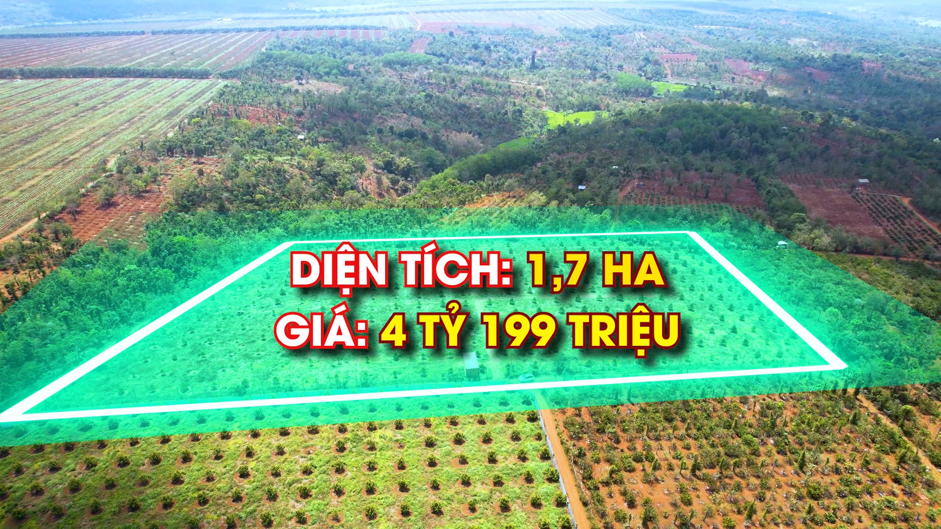 Bán 1.7 ha đất sầu riêng,gần khu công nghiệp phú xuân