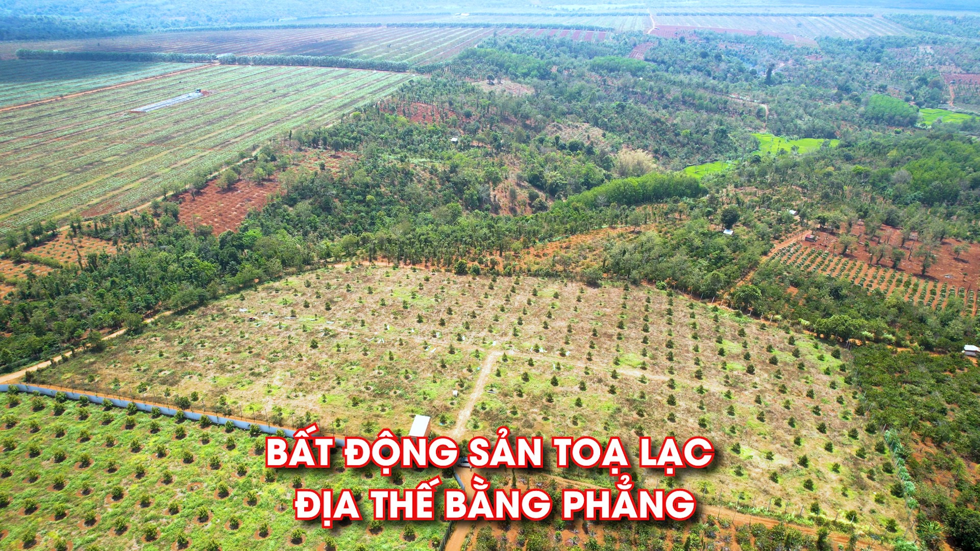 Bán 1.7 ha đất sầu riêng,gần khu công nghiệp phú xuân