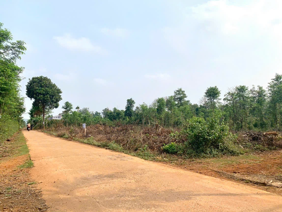 BÁN ĐẤT FULL THỔ CƯ TẠI COURDANG, CƯMGAR, DAKLAK