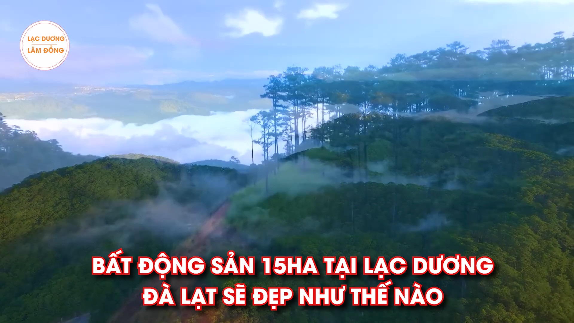 🍀🍀🍀🍀Khu sinh thái Langbiang đẹp hoang sơ và hút hồn tại Lạc Dương - Lâm Đồng.