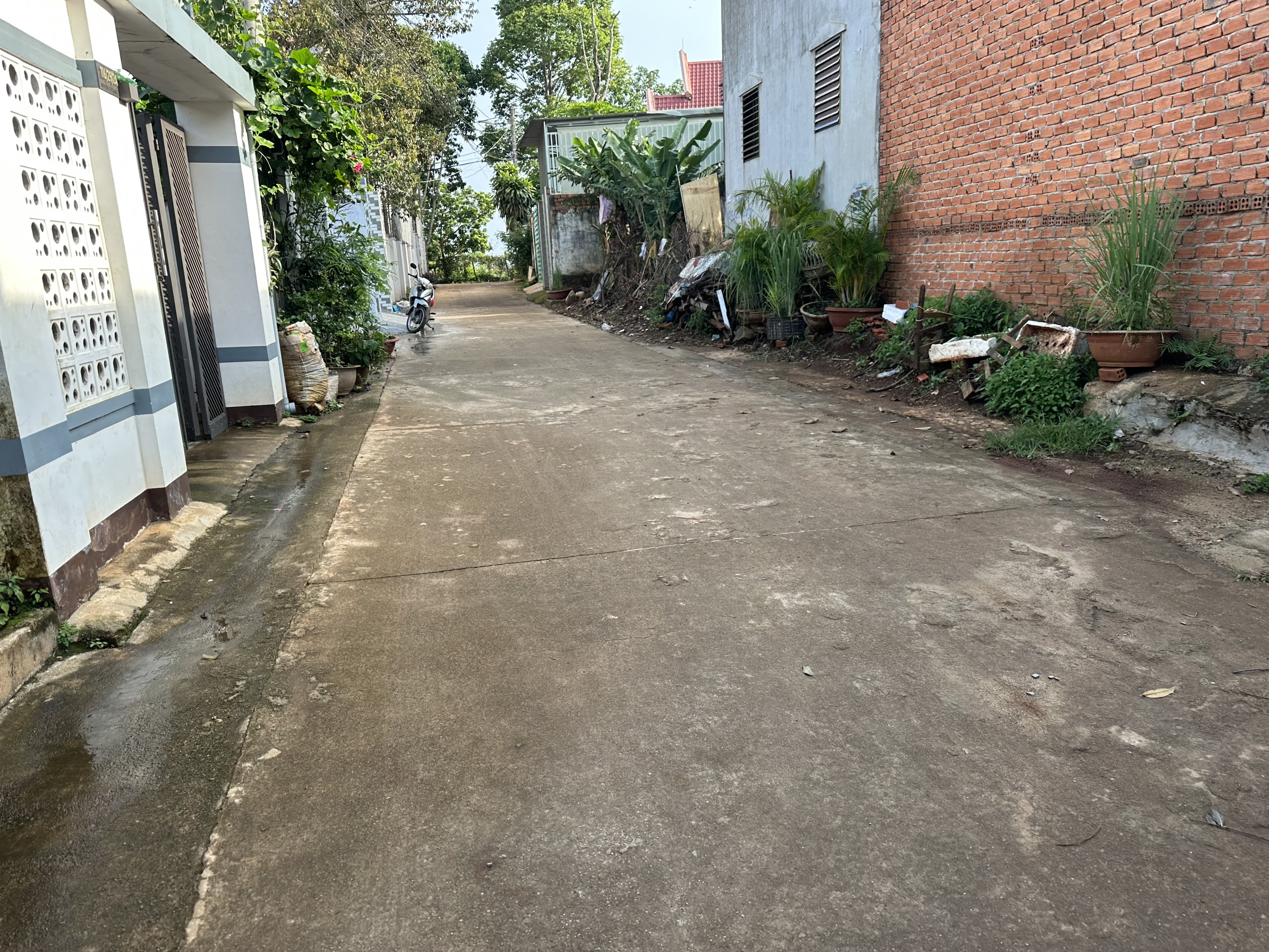 ❤🌱❤BÁN LÔ ĐẤT PHƯỜNG TÂN AN TP.BMT, DAK LAK❤🌱❤  Lô đất hẻm 116 Nguyễn Chí Thanh ( đối diện trường nguyễn viết xuân ) - Diện tích 5 x 21m.  - Thổ cư 54m2  - hướng tây bắc , đông nam - 2 mặt tiền trước sau