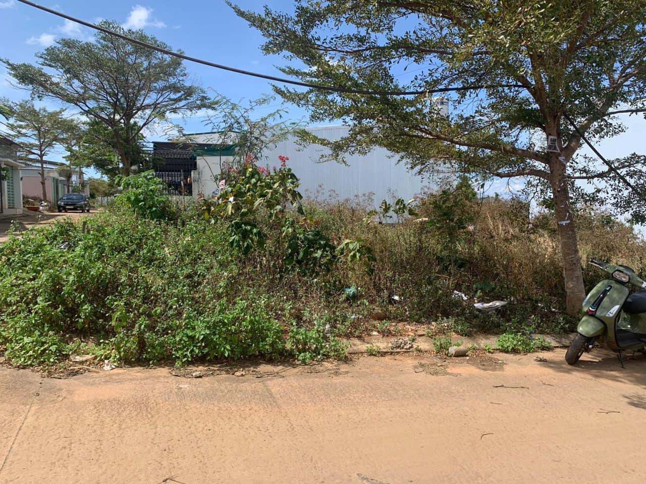 Bán đất phường Tân Lợi - Tp. BMT