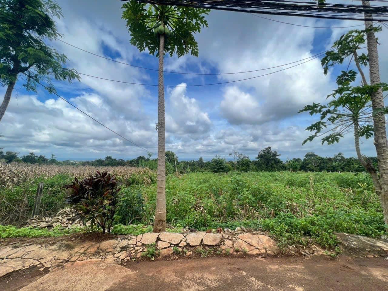 Bán Đất Cuối Y Moal - Xă Cư Êbua - tp Buôn Ma Thuột