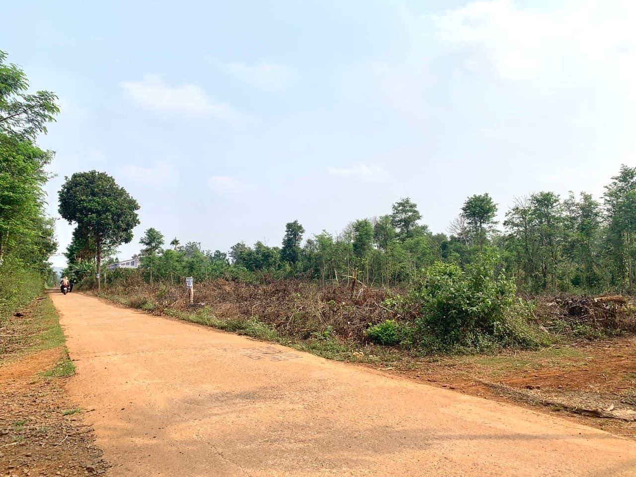 CÒN 1 LÔ DUY NHẤT  FULL THỔ CƯ TẠI COURDANG, CƯMGAR, DAKLAK