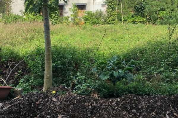 ĐẤT ĐẦU TƯ GIÁ TỐT NHẤT KHU VỰC KOTAM EATU - TP BMT