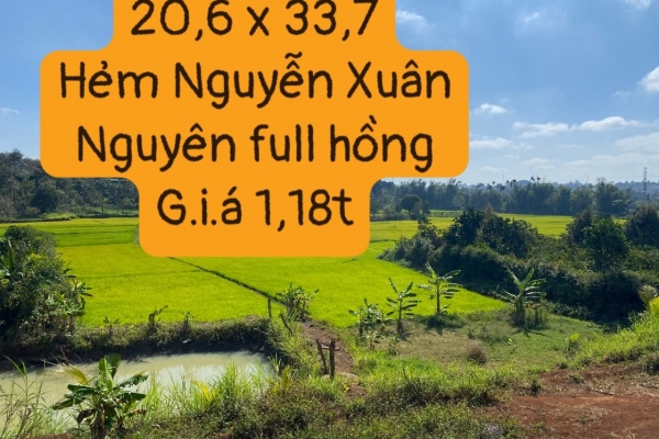 Bán đất nền khu EaNao Nguyễn Xuân Nguyên quy hoạch ONT 20x35 giá 1,2 tỉ đồng