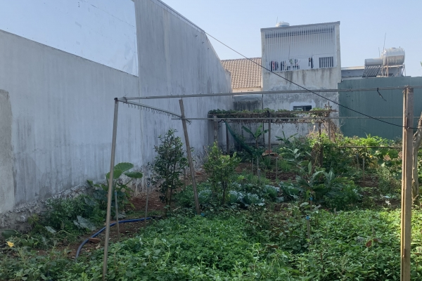 BÁN ĐẤT ĐẦU TƯ BUÔN MA THUỘT.HẺM 184 GIẢI PHÓNG -PHƯỜNG TÂN LỢI  -TP BMT