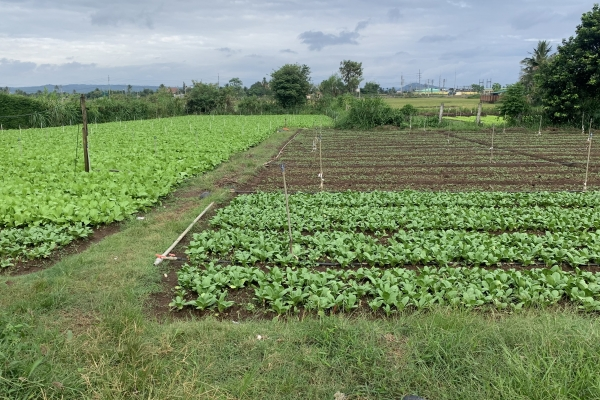 BÁN ĐẤT ĐẦU TƯ PHƯỜNG KHÁNH XUÂN-TP BMT