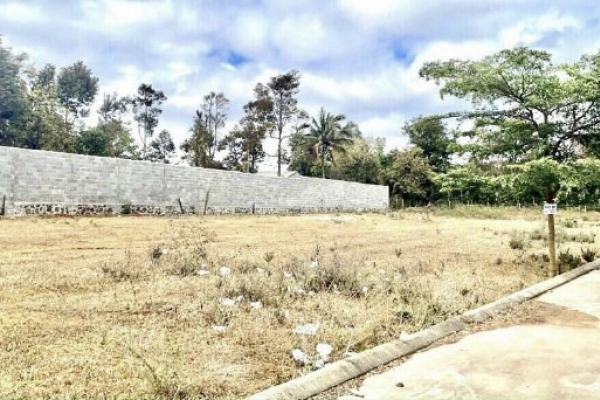 ĐẤT ĐẸP TRUNG TÂM PHỐ, GIÁ CỰC KỲ TỐT