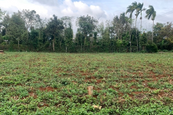 Bán đất hoà thuận tp BMT