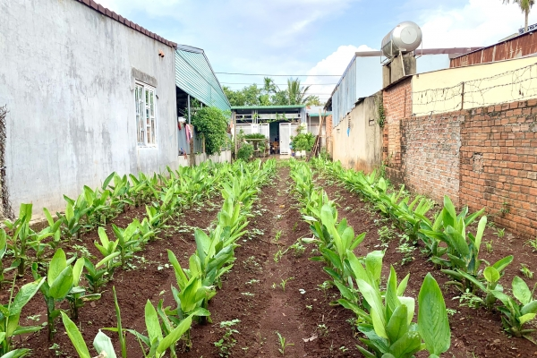 Đất mặt tiền nở hậu chữ L đường D2, thôn 2, Eatu, Buôn Ma thuột