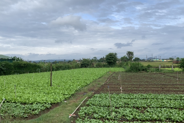 BÁN ĐẤT ĐẦU TƯ PHƯỜNG KHÁNH XUÂN-TP BMT