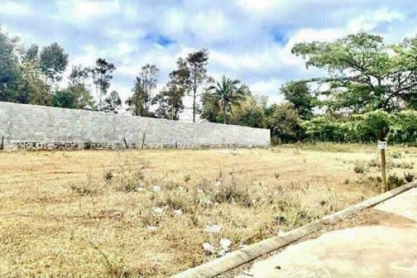 Bán Đất phường Tân Lợi