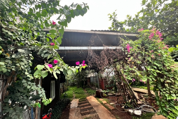 ❤🌱❤LÔ ĐẤT SIÊU ĐẸP NGAY ĐẠI HỌC TÂY NGUYÊN VỊ TRÍ KINH DOANH TỐT🌱❤🌱  Phường Ea Tam, TP BMT  ❌ DT: 5x17m (đã trừ quy hoạch đường vô 3m) ❌Thổ cư: 75m2  🌱1 tỷ 370 triệu / 1 Lô 🌱  GIÁ ĐẦU TƯ QUÁ TỐT /-heart /-heart   Đường oto, thông với cổng sau ĐH Tây Nguyê