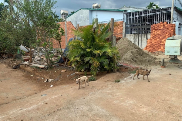 ĐẤT HẺM 124 NGUYỄN THÁI BÌNH, NGAY CHỢ SÁNG XÃ HOÀ THẮNG, TP BUÔN MA THUỘT 🔥🔥