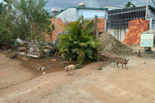 Bán đất xã Hoà Thắng