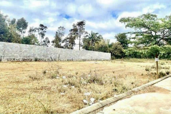 ĐẤT HẺM HÀ HUY TẬP PHƯỜNG TÂN LỢI BMT DAKLAK