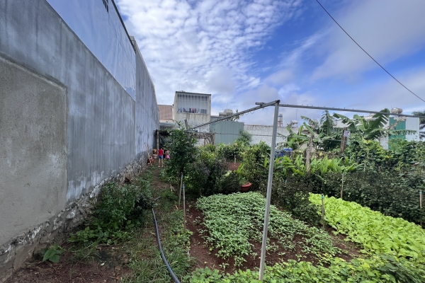 Đất giải phóng tân lợi