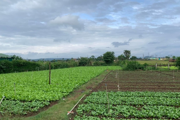 Bán Đất Phường Khánh Xuân - Tp. BMT