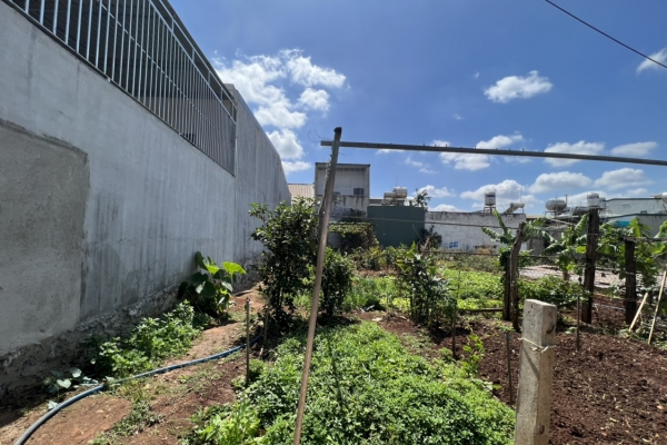 ĐẤT HẺM 246 Y MOAN, HẺM THÔNG 184 GIẢI PHÓNG, P TÂN LỢI, TP BUÔN MA THUỘT❤ 10x23