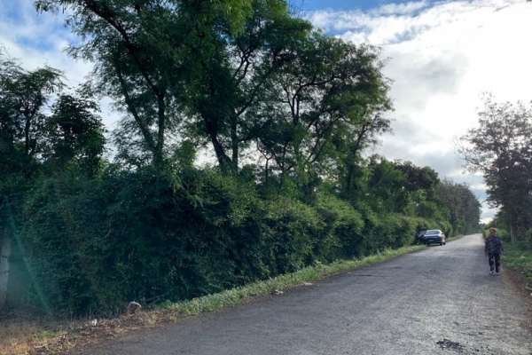 Bán Lô Đất mặt tiền Liên Xã Cư Suê