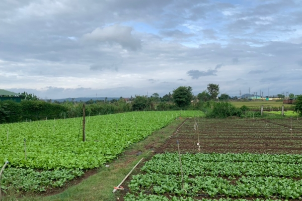 Đất thổ cư Khánh Xuân, Buôn Ma Thuột