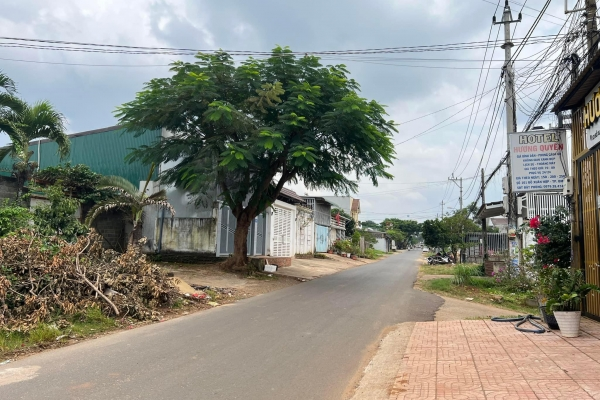 Bán Đất Phường Tân Lợi - Tp. BMT