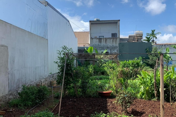 Bán Đất Phường Tân Lợi - to BMT